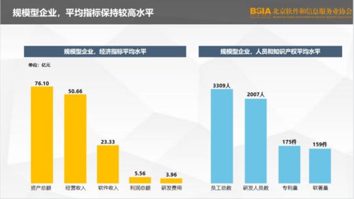2021北京軟件企業(yè)核心競爭力評價報(bào)告 發(fā)布