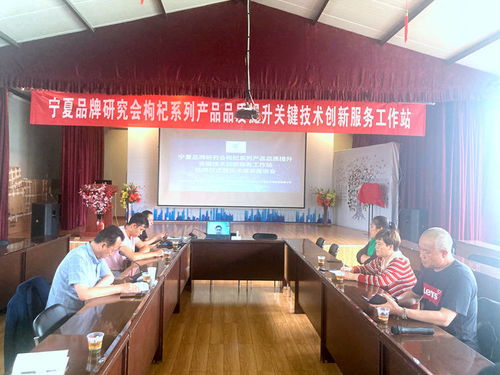 寧夏枸杞產業迎來技術革新 品牌研究會品質提升創新服務工作站掛牌，信息技術賦能產業升級